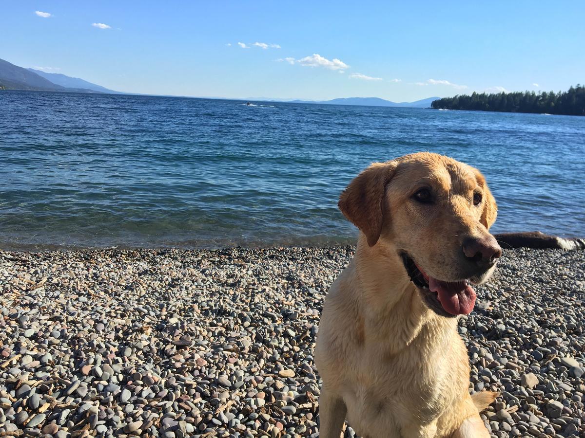 Flathead Lake Resort Woods Bay Ngoại thất bức ảnh